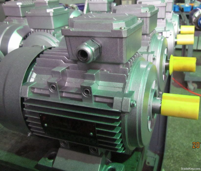 AC Electrical Induction Motors