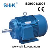 Ie2 Three Phase AC Electric Motor (CE, TUV, SGS)