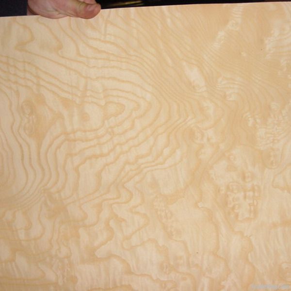 Brown Ash Burl Veneer Sliced Cut