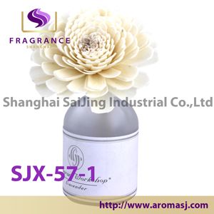 2013 Natural Sola Flower Diffuser