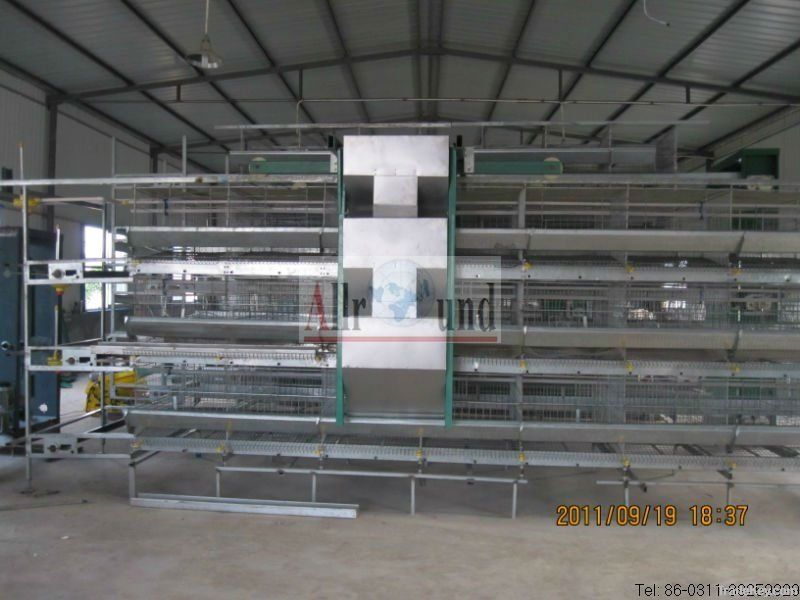 Poultry automatic equipment