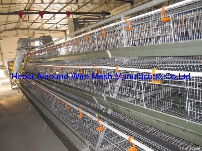 high quality animal poultry cage