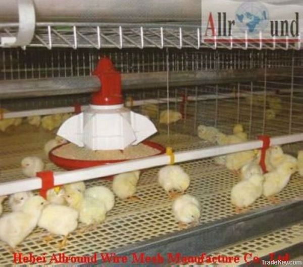 chick cage, broiler cage