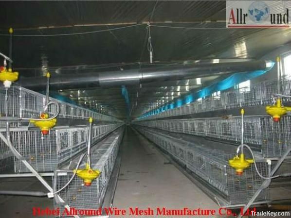 automatic high-quality chicken cage for layer