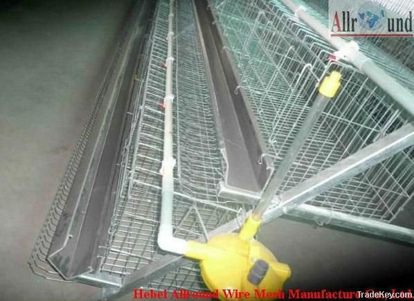 automatic high-quality chicken cage for layer