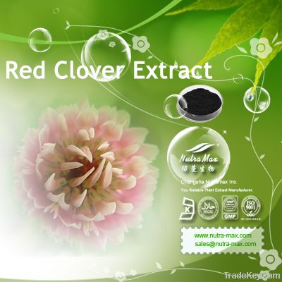 Red Clover Extract