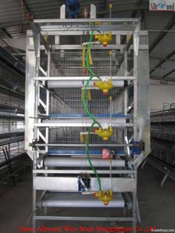 broiler chicken layers cage