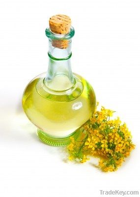 Refined and Crude Rapessed Oil