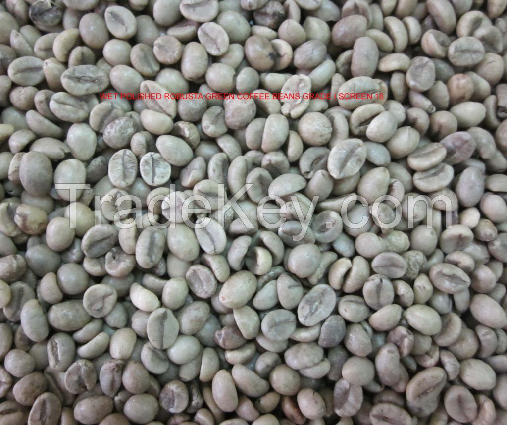 Vietnam Robusta green coffee beans