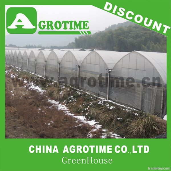 Agricultural Multi-span greenhouse