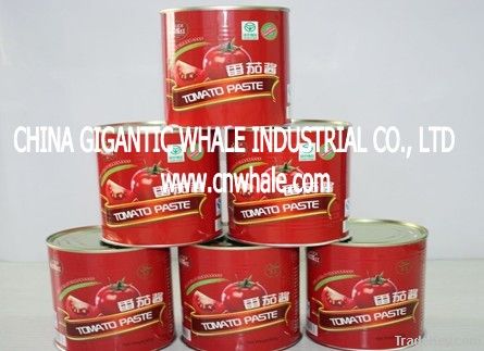 good tastes 140g canned tomato paste with brix 28%-30%