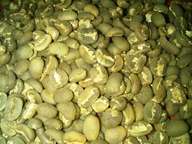 Genuine Kopi Luwak Coffees, Robusta Coffees and Arabica Coffees competitive Prices Best Quality