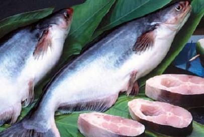 Frozen Pangasius Whole Fish