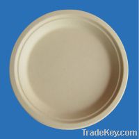 Disposable Paper Plate