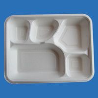 Disposable lunch tray
