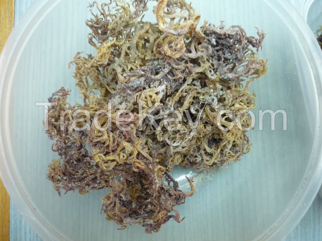 DRIED SEAWEED