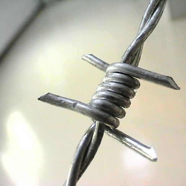 barbed wire