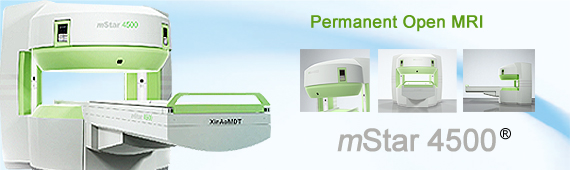 Permanent magnet open MRI