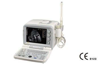 KX2000G(12) Full Digital Ultrasound Scanner