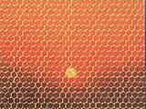 Hexagonal Wire Netting