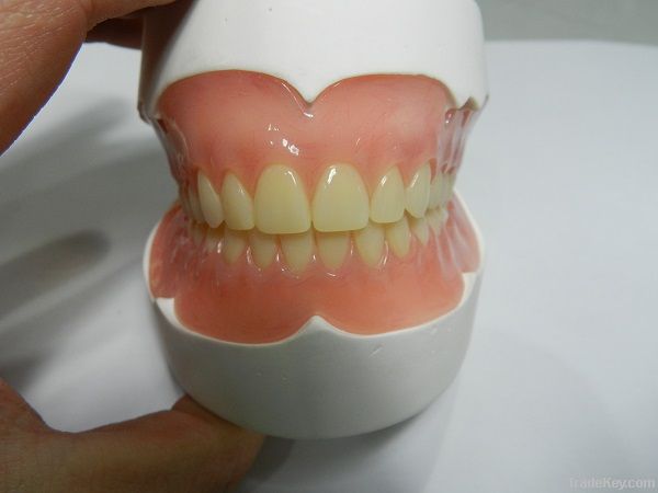 dental denture, acrylic denture