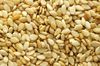 sesame seeds for exports