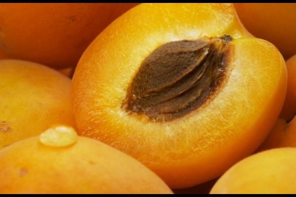 Dried Raw Sweet Apricot Kernel