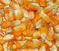 Yellow Corn #2 Soybean Feed Barley