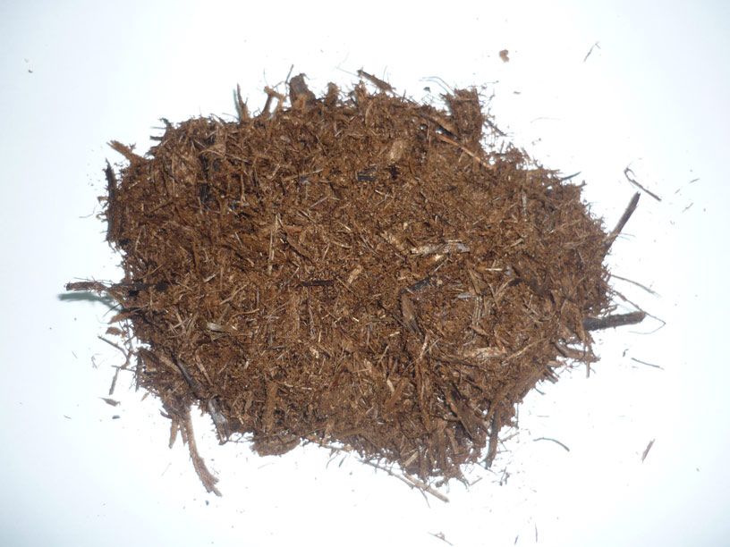 Bagasse Silage And Fermented  Bagasse Pellet 