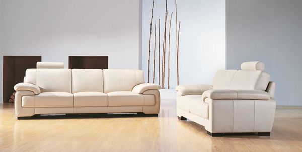 living room combinative sofa 