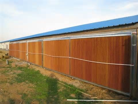 Cellulose evaporative cooling pad for animal husbandry houses