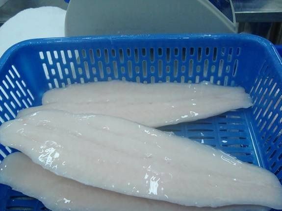 PANGASIUS FILLETS - ALL SIZE AS YOU REQUEST