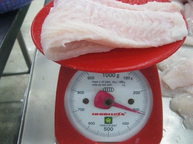 pangasius hypophthalmus PINK MEAT- GOOD QUALITY