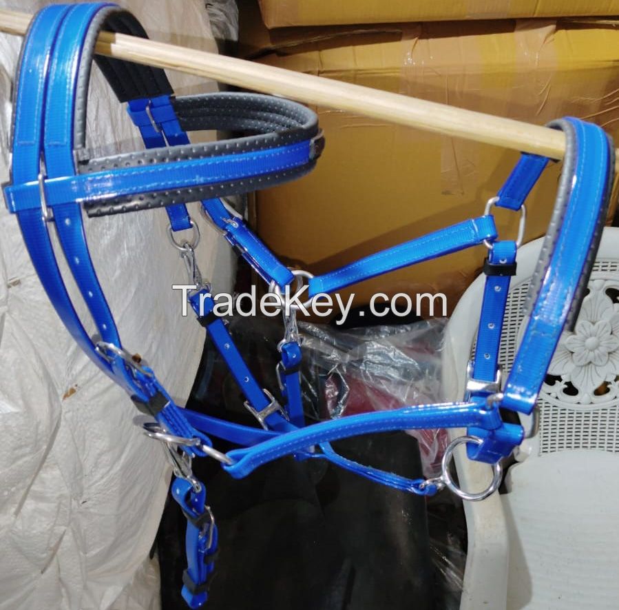 Genuine imported material Zelko bio endurance bridles green with complete set rust proof fitting