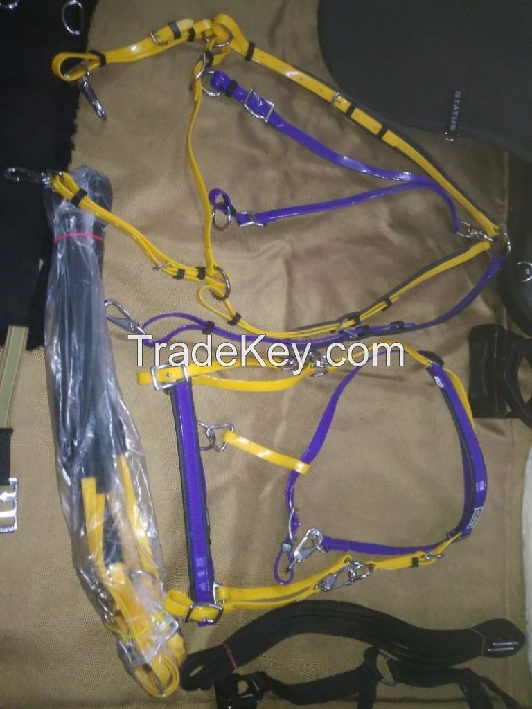 Genuine imported material status synthetic saddle set with jumping saddle pad,bareback pad,girth,colorful pvc bridle,pp bridle and breast plate,plastic stirrups and steel bits,bandages
