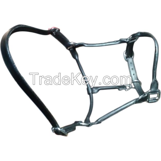 Genuine imported rolled leather horse halter with tendon boots,browband and leather stirrups