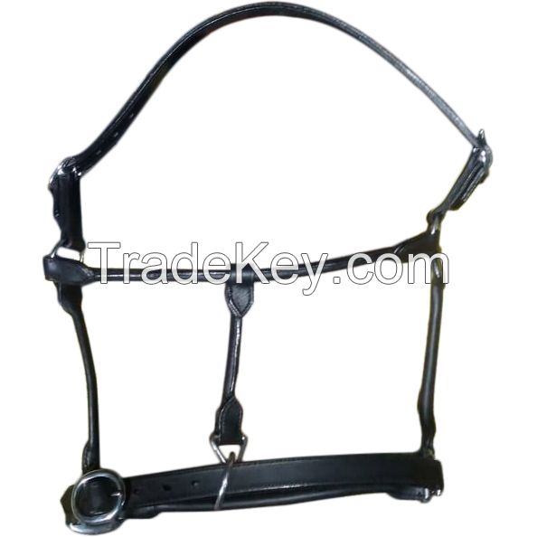 Genuine imported rolled leather horse halter with rust proof fitting