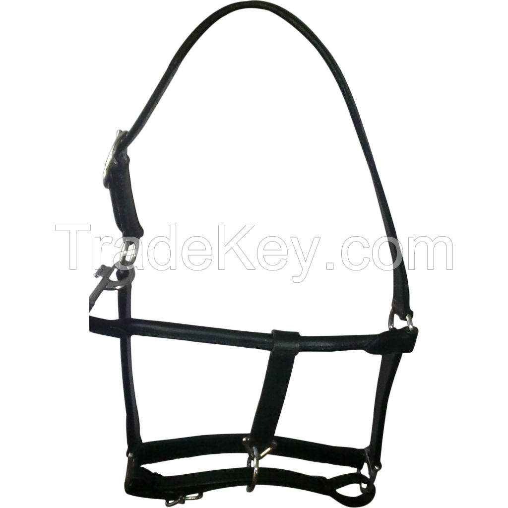 Genuine imported rolled leather horse halter with tendon boots,browband and leather stirrups