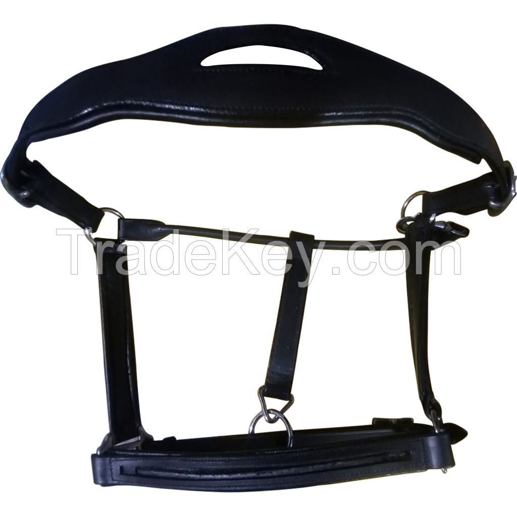 Genuine imported rolled leather horse halter with tendon boots,browband and leather stirrups