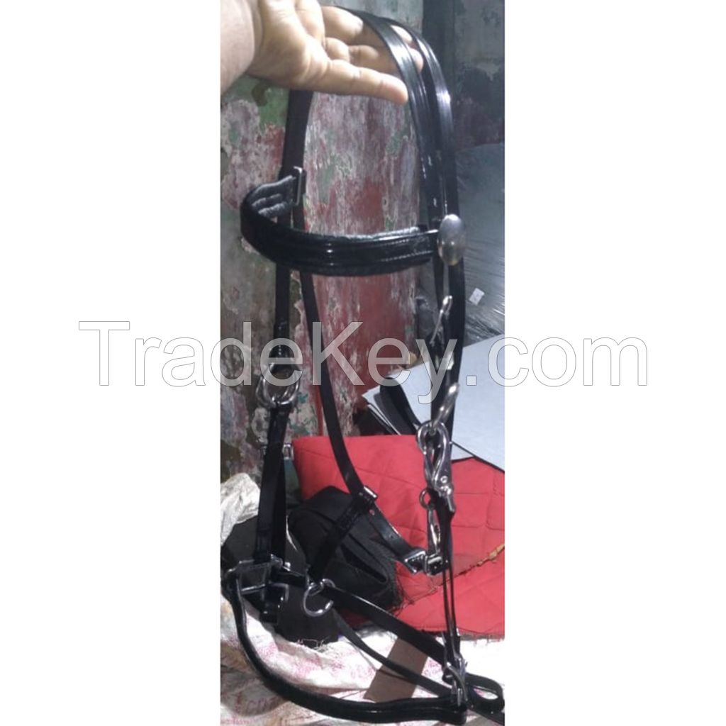 Genuine premium PVC horse riding bridle with rust proof steel fittings Black