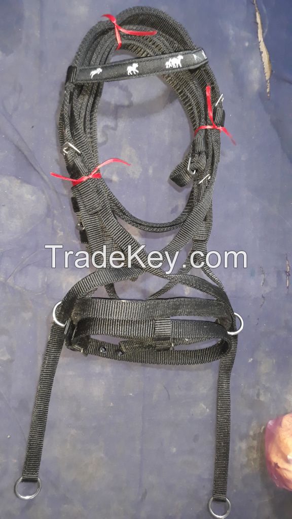 Genuine Imported PP horse bridle Red with rust proof fittings