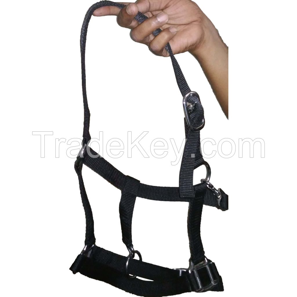 Genuine imported PP horse halter with Rust proof fitting Black