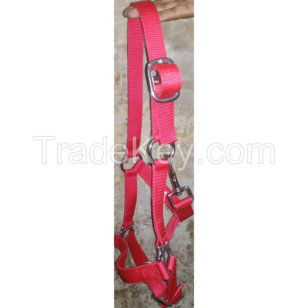 Genuine imported PP horse halter with Rust proof fitting Red