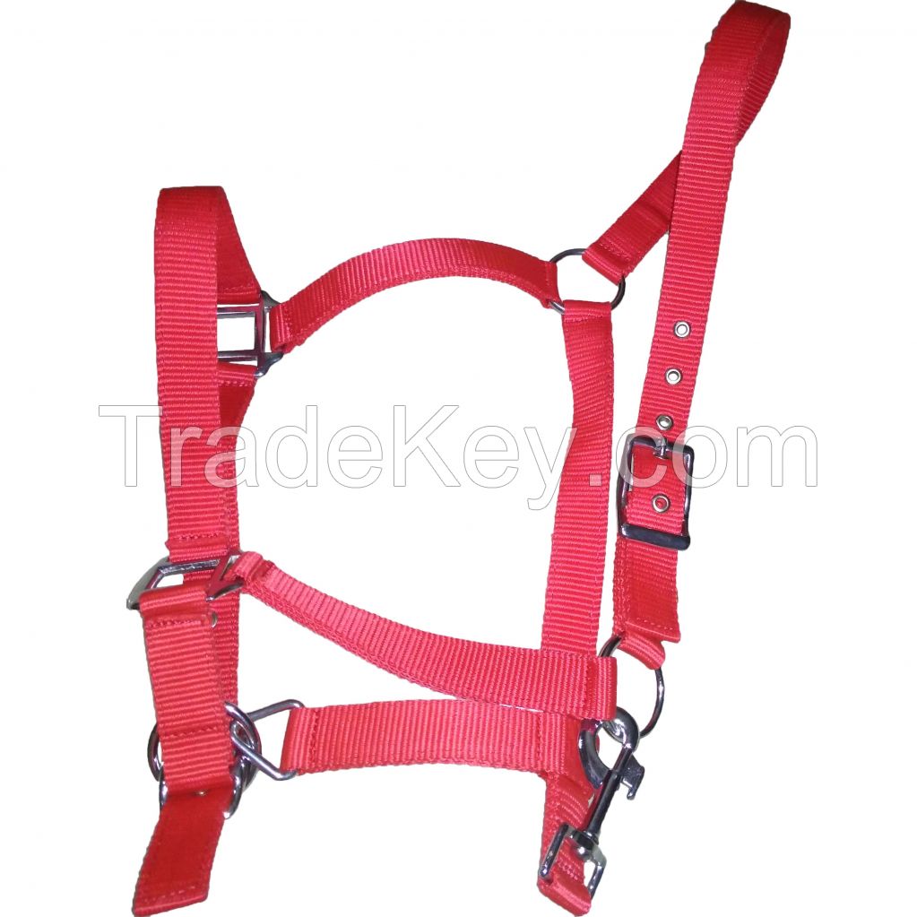 Genuine imported PP horse halter Red with Rust proof fitting