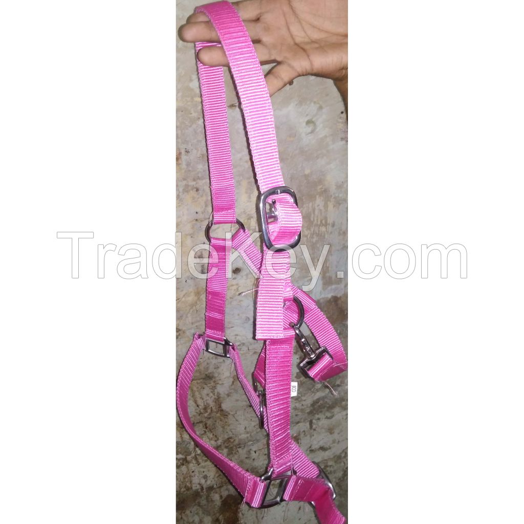 Genuine imported PP horse halter with Rust proof fitting Purple