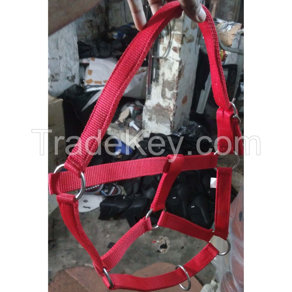 Genuine imported PP horse halter with Rust proof fitting Red