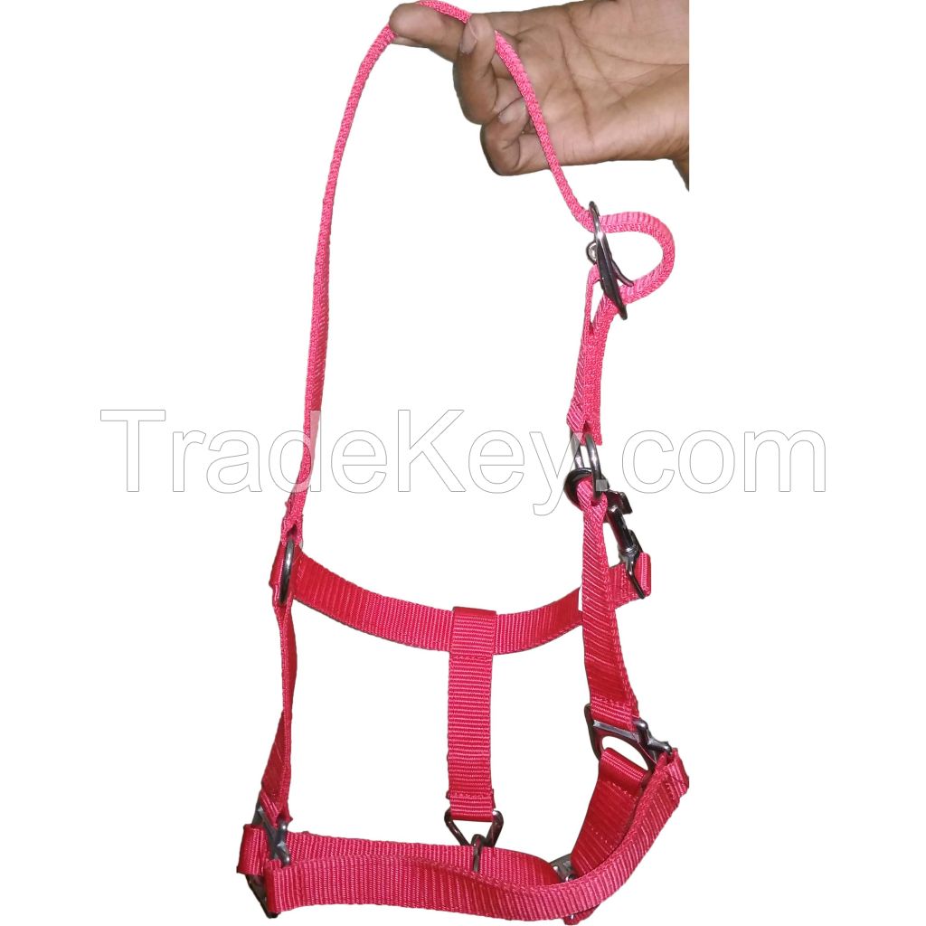 Genuine imported PP horse halter Red with Rust proof fitting