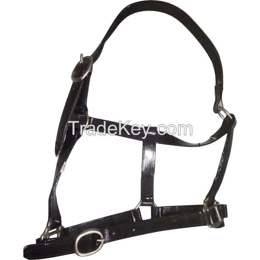 Genuine imported PVC horse halter orange , size pony,cob,full