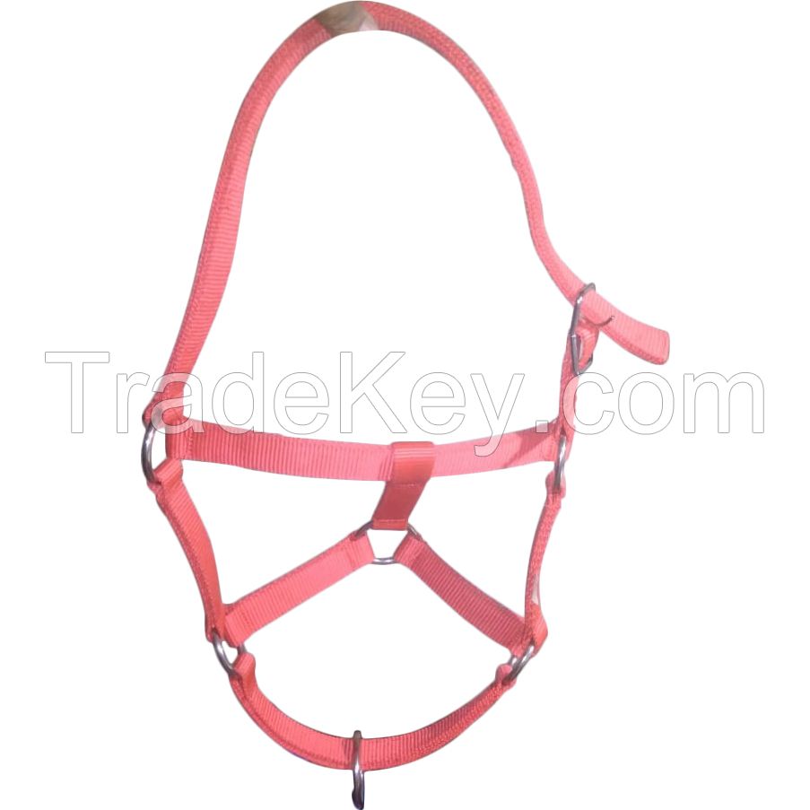 Genuine imported Quality horse PP Halter Red