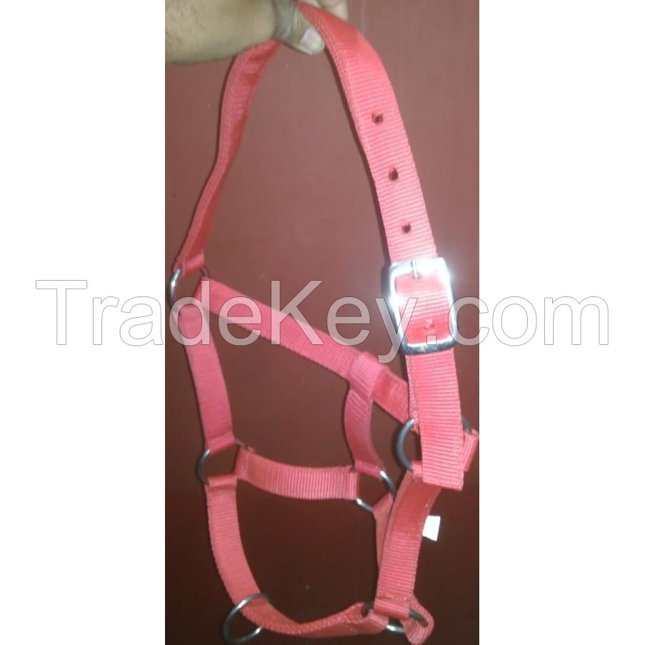 Genuine imported Quality horse PP Halter Red